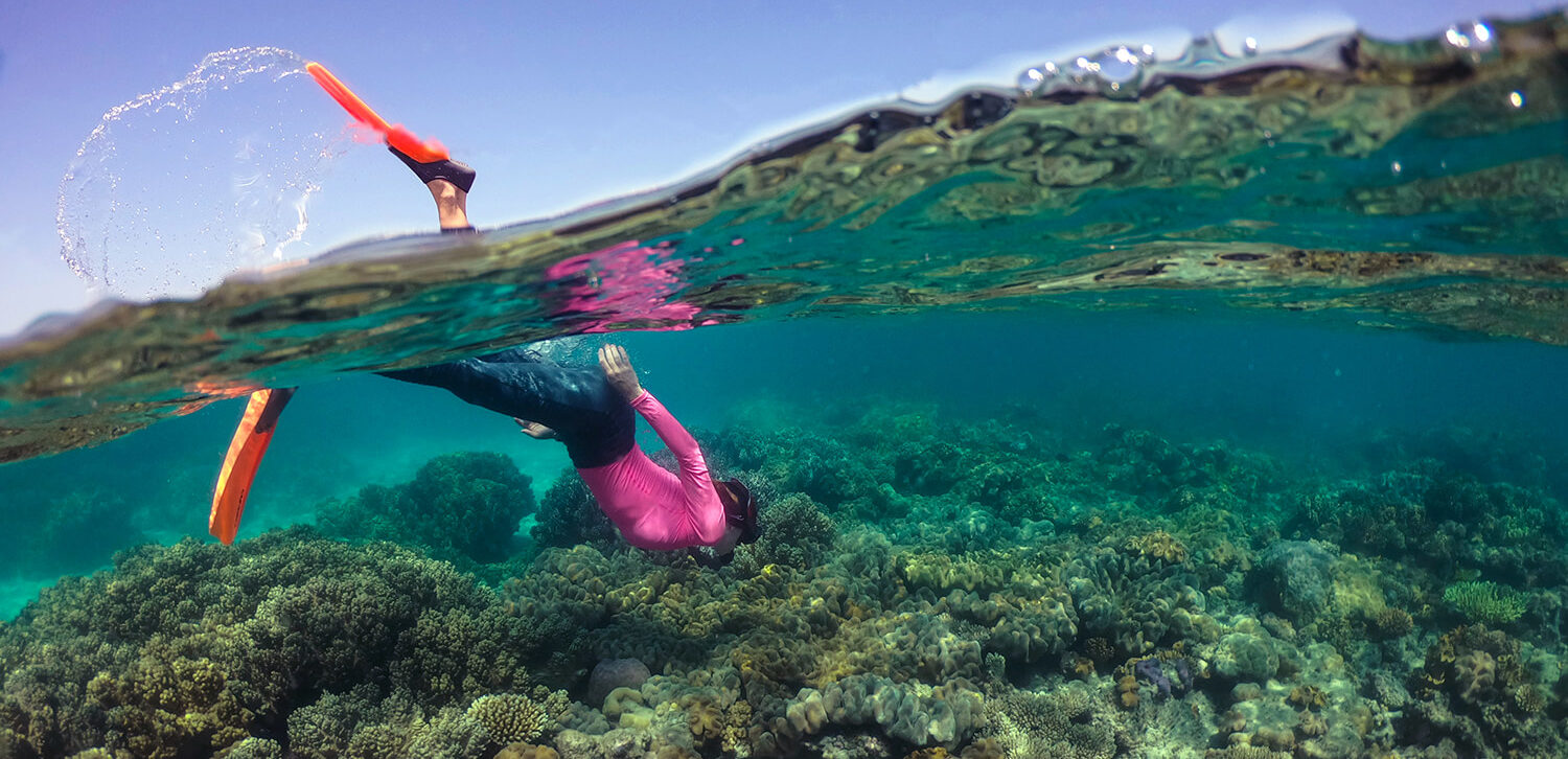 snorkelling great barrier reef cairns